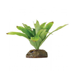 Exo Terra Küçük İpek Neoregelia Plastik Teraryum Bitkisi - Thumbnail