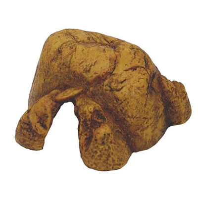 Exo Terra Reptil Cave Sürüngen Mağarası Large 19x21x8 Cm 
