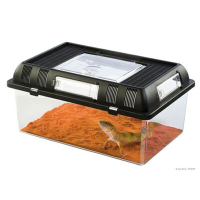 Exo Terra Sürüngen Besleme Kutusu Medium 30x19x15 Cm 