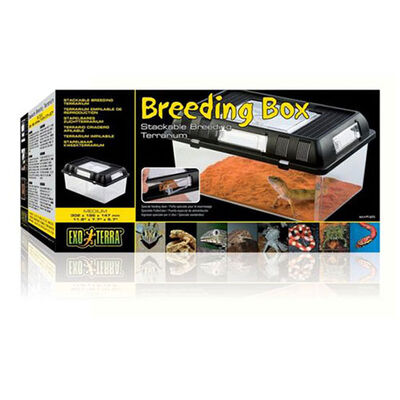 Exo Terra Sürüngen Besleme Kutusu Medium 30x19x15 Cm 