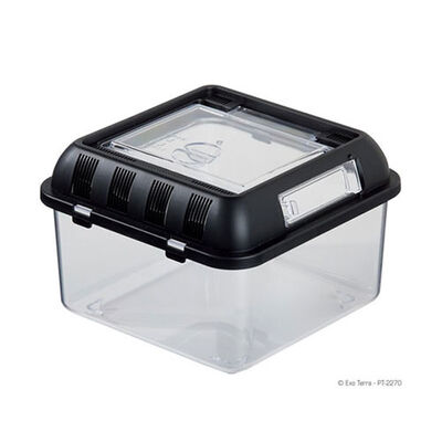 Exo Terra Sürüngen Besleme Kutusu Small 20x20x14 Cm 