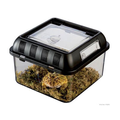 Exo Terra Sürüngen Besleme Kutusu Small 20x20x14 Cm 