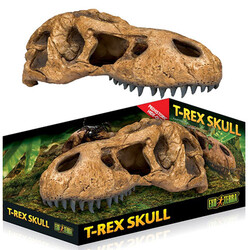 Exo Terra - Exo Terra T-Rex Dinazor Kafatası Sürüngen Yuvası Dekor 
