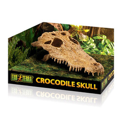 Exo Terra - Exo Terra Timsah Kafatası Sürüngen Yuvası Dekor 22x11x8 Cm 