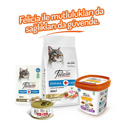 Felicia Beauty Crunch Tavuklu ve Somonlu Kedi Ödül Maması 100 Gr - Thumbnail
