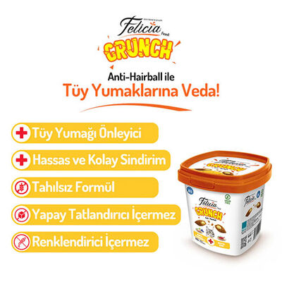 Felicia Crunch Hairball Tavuklu Yaban Mersinli ve Sütlü Kedi Ödül Maması 100 Gr 