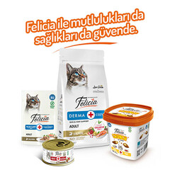 Felicia Crunch Hairball Tavuklu Yaban Mersinli ve Sütlü Kedi Ödül Maması 100 Gr - Thumbnail