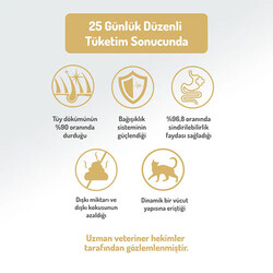 Felicia Hipoalerjenik Kolajen Destekli Somonlu Kısırlaştırılmış Kedi Maması 5 Kg - Thumbnail
