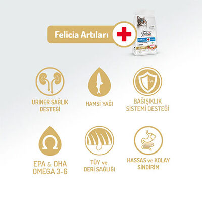 Felicia Hipoalerjenik Kolajen Destekli Somonlu Yetişkin Kedi Maması 5 Kg 