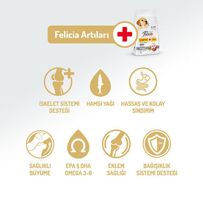 Felicia Hypoallergenic Küçük ve Orta Irk Kuzulu Düşük Tahıllı Yavru Köpek Maması 3 Kg  Felicia Hypoallergenic Küçük ve Orta Irk Kuzulu Düşük Tahıllı Yavru Köpek Maması 3 Kg