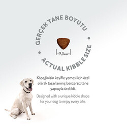 Felicia Hypoallergenic Küçük ve Orta Irk Kuzulu Düşük Tahıllı Yavru Köpek Maması 3 Kg - Thumbnail
