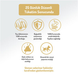 Felicia Hypoallergenic Küçük ve Orta Irk Kuzulu Düşük Tahıllı Yavru Köpek Maması 3 Kg - Thumbnail
