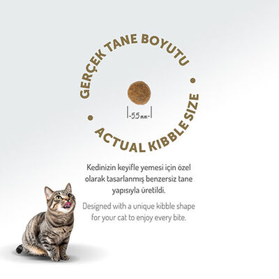 Felicia Hypoallergenic Kuzulu Düşük Tahıllı Yavru Kedi Maması 12 Kg 