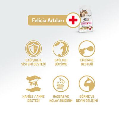 Felicia Hypoallergenic Kuzulu Düşük Tahıllı Yavru Kedi Maması 12 Kg 