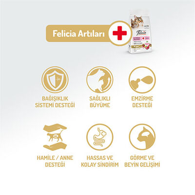 Felicia Hypoallergenic Kuzulu Düşük Tahıllı Yavru Kedi Maması 2 Kg  Felicia Hypoallergenic Kuzulu Düşük Tahıllı Yavru Kedi Maması 2 Kg