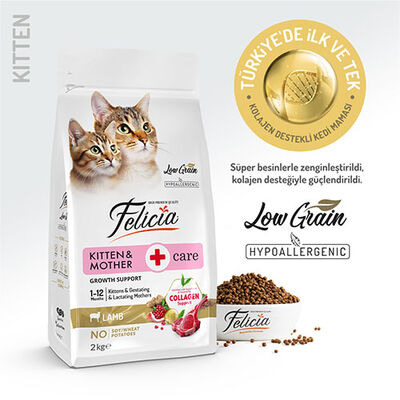 Felicia Hypoallergenic Kuzulu Düşük Tahıllı Yavru Kedi Maması 2 Kg 