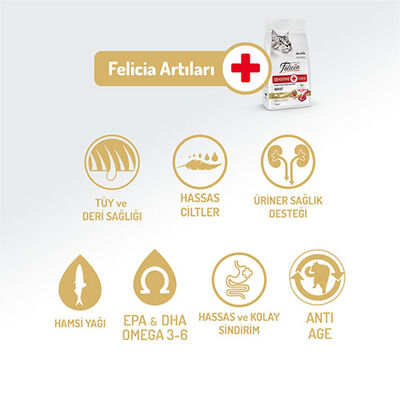 Felicia Hypoallergenic Kuzulu Düşük Tahıllı Yetişkin Kedi Maması 12 Kg 