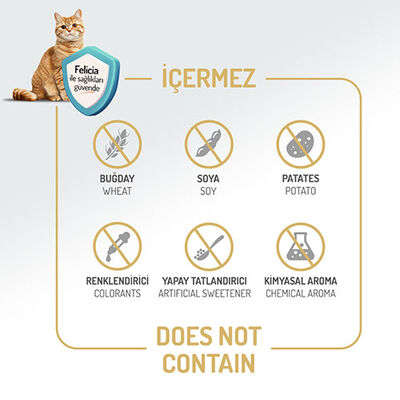 Felicia Hypoallergenic Kuzulu Düşük Tahıllı Yetişkin Kedi Maması 12 Kg 