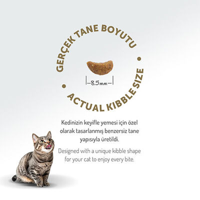 Felicia Hypoallergenic Kuzulu Düşük Tahıllı Yetişkin Kedi Maması 12 Kg 