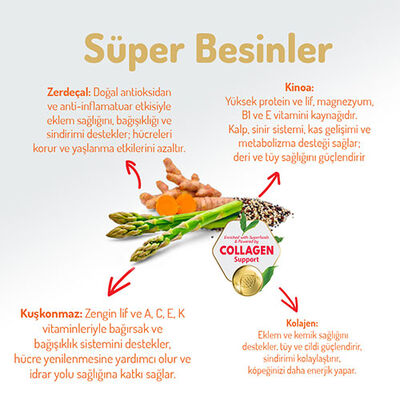 Felicia Hypoallergenic Medium Large Kuzulu Düşük Tahıllı Yetişkin Köpek Maması 15 Kg 