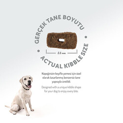 Felicia Hypoallergenic Medium Large Kuzulu Düşük Tahıllı Yetişkin Köpek Maması 15 Kg - Thumbnail