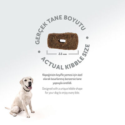 Felicia Hypoallergenic Medium Large Kuzulu Düşük Tahıllı Yetişkin Köpek Maması 15 Kg 