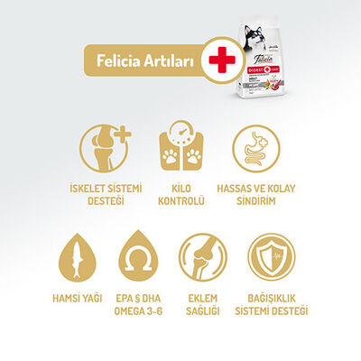 Felicia Hypoallergenic Medium Large Kuzulu Düşük Tahıllı Yetişkin Köpek Maması 3 Kg 