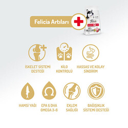 Felicia Hypoallergenic Medium Large Kuzulu Düşük Tahıllı Yetişkin Köpek Maması 6 Kg - Thumbnail