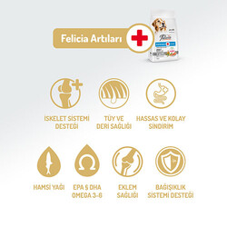 Felicia Hypoallergenic Medium Large Somonlu Düşük Tahıllı Yetişkin Köpek Maması 15 Kg - Thumbnail