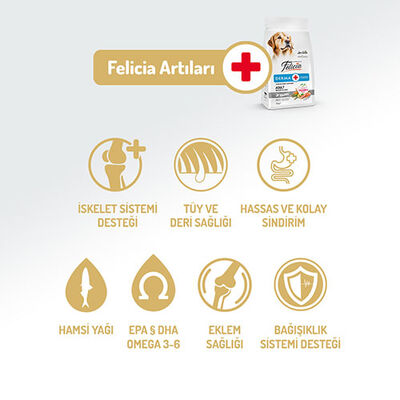 Felicia Hypoallergenic Medium Large Somonlu Düşük Tahıllı Yetişkin Köpek Maması 15 Kg 