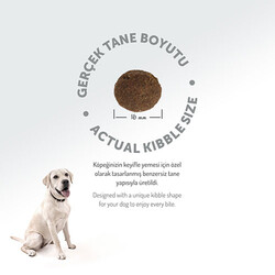 Felicia Hypoallergenic Medium Large Somonlu Düşük Tahıllı Yetişkin Köpek Maması 15 Kg - Thumbnail