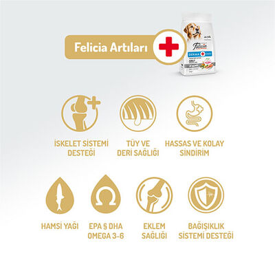 Felicia Hypoallergenic Medium Large Somonlu Düşük Tahıllı Yetişkin Köpek Maması 3 Kg 