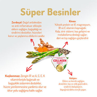 Felicia Hypoallergenic Medium Large Somonlu Düşük Tahıllı Yetişkin Köpek Maması 3 Kg 