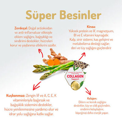 Felicia Hypoallergenic Medium Large Somonlu Düşük Tahıllı Yetişkin Köpek Maması 6 Kg 
