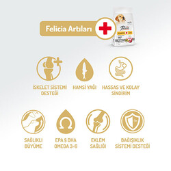 Felicia HypoAllergenic Small Mini Kuzulu Küçük Irk Düşük Tahıllı Yavru Köpek Maması 6 Kg - Thumbnail