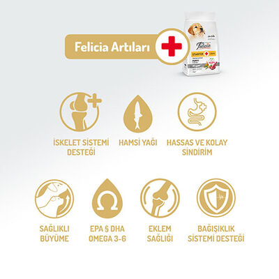 Felicia HypoAllergenic Small Mini Kuzulu Küçük Irk Düşük Tahıllı Yavru Köpek Maması 6 Kg  Felicia HypoAllergenic Small Mini Kuzulu Küçük Irk Düşük Tahıllı Yavru Köpek Maması 6 Kg