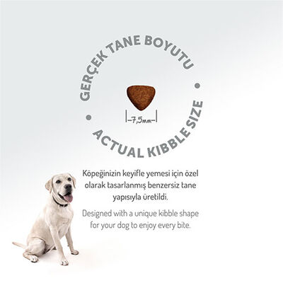 Felicia HypoAllergenic Small Mini Kuzulu Küçük Irk Düşük Tahıllı Yavru Köpek Maması 6 Kg 