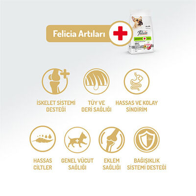 Felicia HypoAllergenic Small Mini Kuzulu Küçük Irk Düşük Tahıllı Yetişkin Köpek Maması 3 Kg 