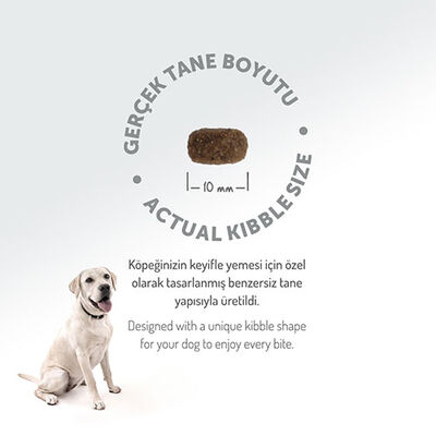 Felicia HypoAllergenic Small Mini Kuzulu Küçük Irk Düşük Tahıllı Yetişkin Köpek Maması 3 Kg 