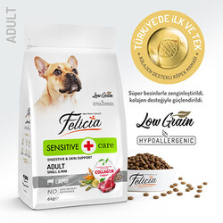 Felicia HypoAllergenic Small Mini Kuzulu Küçük Irk Düşük Tahıllı Yetişkin Köpek Maması 6 Kg - Thumbnail
