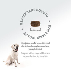 Felicia HypoAllergenic Small Mini Kuzulu Küçük Irk Düşük Tahıllı Yetişkin Köpek Maması 6 Kg - Thumbnail