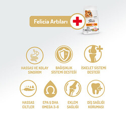 Felicia HypoAllergenic Small Mini Somonlu Küçük Irk Düşük Tahıllı Yetişkin Köpek Maması 3 Kg - Thumbnail