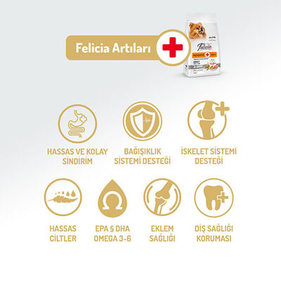 Felicia HypoAllergenic Small Mini Somonlu Küçük Irk Düşük Tahıllı Yetişkin Köpek Maması 3 Kg  Felicia HypoAllergenic Small Mini Somonlu Küçük Irk Düşük Tahıllı Yetişkin Köpek Maması 3 Kg