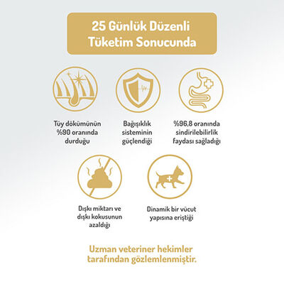 Felicia HypoAllergenic Small Mini Somonlu Küçük Irk Düşük Tahıllı Yetişkin Köpek Maması 3 Kg  Felicia HypoAllergenic Small Mini Somonlu Küçük Irk Düşük Tahıllı Yetişkin Köpek Maması 3 Kg