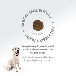 Felicia HypoAllergenic Small Mini Somonlu Küçük Irk Düşük Tahıllı Yetişkin Köpek Maması 3 Kg - Thumbnail