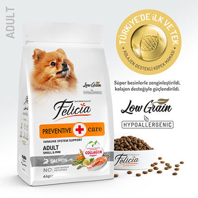 Felicia HypoAllergenic Small Mini Somonlu Küçük Irk Düşük Tahıllı Yetişkin Köpek Maması 6 Kg 