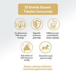 Felicia HypoAllergenic Small Mini Somonlu Küçük Irk Düşük Tahıllı Yetişkin Köpek Maması 6 Kg - Thumbnail