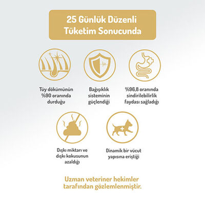 Felicia HypoAllergenic Small Mini Somonlu Küçük Irk Düşük Tahıllı Yetişkin Köpek Maması 6 Kg 