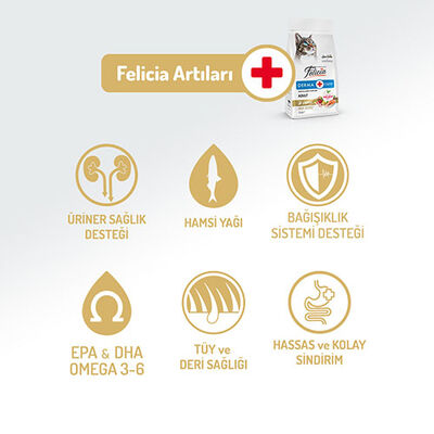 Felicia Hypoallergenic Somonlu Düşük Tahıllı Yetişkin Kedi Maması 12 Kg 