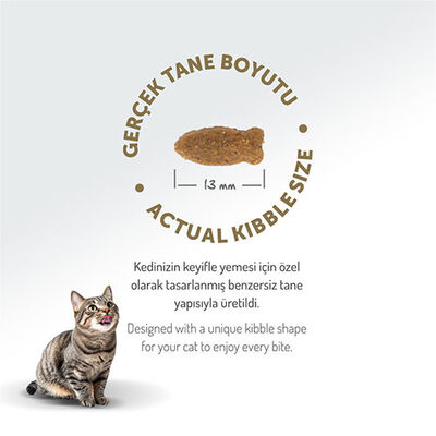 Felicia Hypoallergenic Somonlu Düşük Tahıllı Yetişkin Kedi Maması 2 Kg 